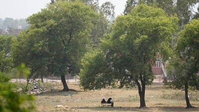 The Latur Municipal Corporation issued a notice to the man imposing a fine of  ₹1 lakh on him and lodged a police complaint. (AP)