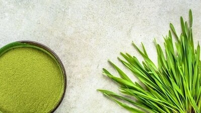 Barley grass powder: Rich in several sleep-promoting compounds, including GABA, calcium, tryptophan, zinc, potassium, and magnesium, barley grass powder could help you sleep better. (Pinterest) Barley grass powder: Rich in several sleep-promoting compounds, including GABA, calcium, tryptophan, zinc, potassium, and magnesium, barley grass powder could help you sleep better. (Pinterest)