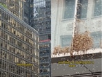 New York City block buzzes with bees.