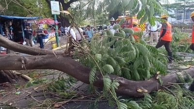 Trees have fallen at various places in Thane due to strong winds. ( Praful Gangurde / HT Photo) Trees have fallen at various places in Thane due to strong winds. ( Praful Gangurde / HT Photo)