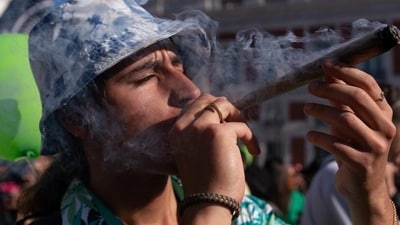 How dangerous is cannabis use? At the Global Marijuana March in Madrid in May, advocates campaigned for legalization, while others warned against it. Who is right? (Guillermo Gutierrez/Zumapress/picture alliance) How dangerous is cannabis use? At the Global Marijuana March in Madrid in May, advocates campaigned for legalization, while others warned against it. Who is right? (Guillermo Gutierrez/Zumapress/picture alliance)