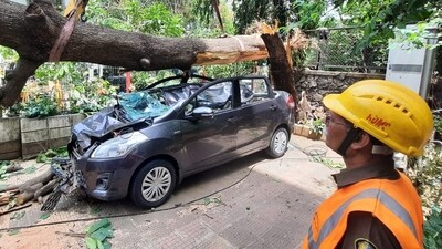 A big tree falls on a car at Thane's Vasant Vihar after strong winds in the wake of cyclone Biparjoy. (Praful Gangurde/HT photo) A big tree falls on a car at Thane's Vasant Vihar after strong winds in the wake of cyclone Biparjoy. (Praful Gangurde/HT photo)