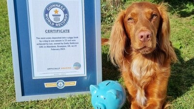 A cocker spaniel dog named Leo with his piggy bank and Guinness World Records certificate. (Instagram/@trickspaniel) A cocker spaniel dog named Leo with his piggy bank and Guinness World Records certificate. (Instagram/@trickspaniel)