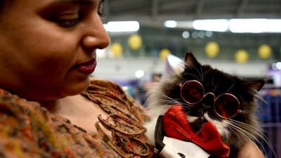 Woman holding her pet cat in her arms at Asia’s biggest cat show in Mumbai. (HT Photo/Bachchan Kumar) Woman holding her pet cat in her arms at Asia’s biggest cat show in Mumbai. (HT Photo/Bachchan Kumar)
