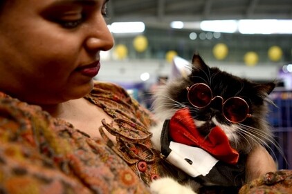 Woman with her fashionista pet cat at Asia's biggest cat championship. (HT Photo/Bachchan Kumar) Woman with her fashionista pet cat at Asia's biggest cat championship. (HT Photo/Bachchan Kumar)
