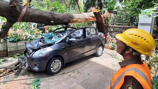 A big tree falls on a car at Thane's Vasant Vihar after strong winds in the wake of cyclone Biparjoy. (Praful Gangurde/HT photo)