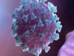 Long Covid patients suffer from persistent inflammation: Study