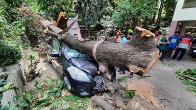 A car was crushed by an uprooted tree following strong winds owing to Cyclone Biparjoy cyclone in Thane, on June 12. (PTI) A car was crushed by an uprooted tree following strong winds owing to Cyclone Biparjoy cyclone in Thane, on June 12. (PTI)
