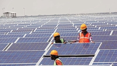 Solar-powered hydroponic systems that can grow fodder with minimal water is another $1.8 billion market opportunity (HT File) Solar-powered hydroponic systems that can grow fodder with minimal water is another $1.8 billion market opportunity (HT File)