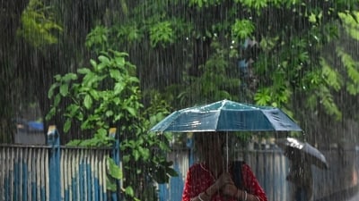 A met office bulletin said a squall having a speed of 40-50 km/hour lashed several districts including Howrah, Hooghly, Purba Bardhaman, Bankura, Purulia, Paschim Medinipur during Monday afternoon-evening. (AFP) A met office bulletin said a squall having a speed of 40-50 km/hour lashed several districts including Howrah, Hooghly, Purba Bardhaman, Bankura, Purulia, Paschim Medinipur during Monday afternoon-evening. (AFP)