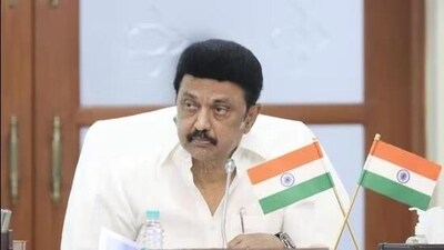 Tamil Nadu chief minister MK Stalin. (File)