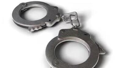 The case pertains to an article run on the portal by the arrested individual. (Representative file image)