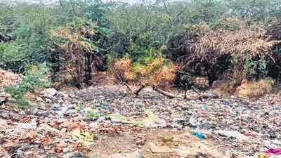 Waste dumped at south Delhi’s Mittal Garden. Forest officials carried out an inspection at the site on May 20. (HT Photo) Waste dumped at south Delhi’s Mittal Garden. Forest officials carried out an inspection at the site on May 20. (HT Photo)
