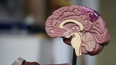 How brain waves can predict cognitive impairment in Parkinson's disease: Study (UNSPLASH) How brain waves can predict cognitive impairment in Parkinson's disease: Study (UNSPLASH)