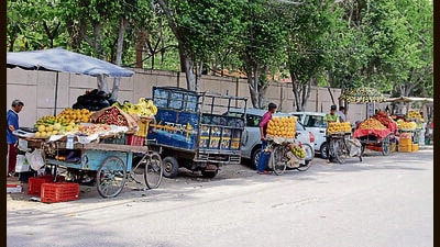 treet vends set up at the side of the road near Arya College on Hambran Road in Ludhiana on Tuesday. (Manish/HT) treet vends set up at the side of the road near Arya College on Hambran Road in Ludhiana on Tuesday. (Manish/HT)