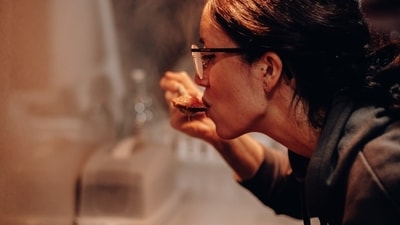 What Is umami, exactly? (Pexels) What Is umami, exactly? (Pexels)