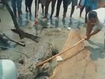 The crocodile was assaulted and killed by a mob that gathered after the boy died. (ANI)
