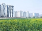 Rajiva Singh, president of Noida Federation of Apartment Owner’s Association (NOFAA) said that welfare associations do not have authority to draft or define such guidelines.