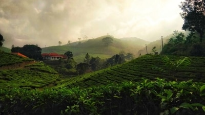 Tourism Minister P A Mohamed Riyas said creating a "conducive ambience for women tourists" in the state is a policy priority of the government. (Unsplash ) Tourism Minister P A Mohamed Riyas said creating a "conducive ambience for women tourists" in the state is a policy priority of the government. (Unsplash )