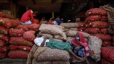 There are around 4 lakh onion farmer-members of the Onion Growers Association from Maharashtra, Madhya Pradesh, Gujarat, Karnataka and Rajasthan. (HT PHOTO) There are around 4 lakh onion farmer-members of the Onion Growers Association from Maharashtra, Madhya Pradesh, Gujarat, Karnataka and Rajasthan. (HT PHOTO)