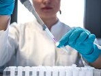 Cells which eventually form the placenta, yolk sac and the embryo itself were present in the artificial structure.(Representative image)