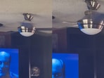 Snake emerges from ceiling fan. Snake emerges from ceiling fan.