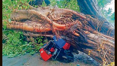 A bike stuck after a tree fell on Bahadurke road in the late hours on Wednesday. (HT Photo) A bike stuck after a tree fell on Bahadurke road in the late hours on Wednesday. (HT Photo)