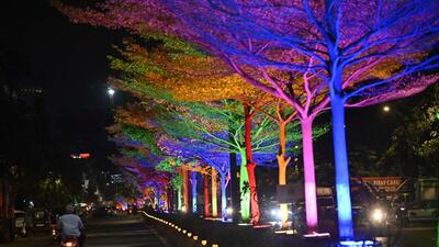 Mumbai, India - June 05, 2023: Trees illuminated with colourful lightings as part of the BMC's beautification project, at Andheri, in Mumbai, India, on Monday, June 05, 2023. (Photo by Vijay Bate/HT Photo) (HT PHOTO) Mumbai, India - June 05, 2023: Trees illuminated with colourful lightings as part of the BMC's beautification project, at Andheri, in Mumbai, India, on Monday, June 05, 2023. (Photo by Vijay Bate/HT Photo) (HT PHOTO)
