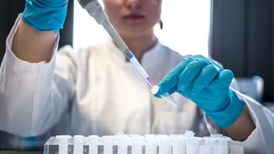 Cells which eventually form the placenta, yolk sac and the embryo itself were present in the artificial structure. (Representative image) Cells which eventually form the placenta, yolk sac and the embryo itself were present in the artificial structure. (Representative image)