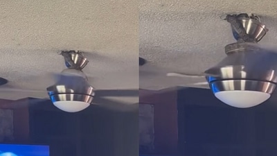 Snake emerges from ceiling fan. (Instagram/@arabbird) Snake emerges from ceiling fan. (Instagram/@arabbird)