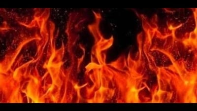 The fire led to an explosion in an LPG cylinder placed inside and engulfed the entire hut. (HT Photo) The fire led to an explosion in an LPG cylinder placed inside and engulfed the entire hut. (HT Photo)