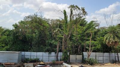The land next to Rajiv Gandhi Zoological Park premises at Katraj where the dog park will come up. (Pratham Gokhale/HT Photo) The land next to Rajiv Gandhi Zoological Park premises at Katraj where the dog park will come up. (Pratham Gokhale/HT Photo)