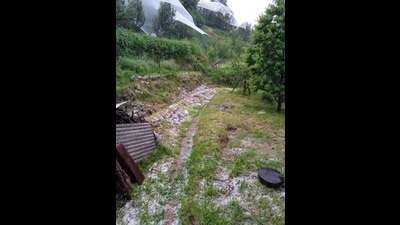 To counter China’s dual village programme, the government plans to develop 76 villages in Himachal Pradesh along the China border in two districts of Kinnaur and Lahaul and Spiti. The Himachal Pradesh government has directed the administration of two districts to prepare plans for developing 76 villages of the total 210 villages selected under the vibrant village programme. (HT File Photo) To counter China’s dual village programme, the government plans to develop 76 villages in Himachal Pradesh along the China border in two districts of Kinnaur and Lahaul and Spiti. The Himachal Pradesh government has directed the administration of two districts to prepare plans for developing 76 villages of the total 210 villages selected under the vibrant village programme. (HT File Photo)