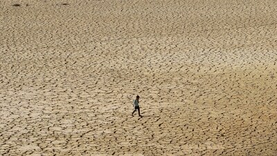 The WWA study concentrated on the three areas worst hit by the drought: southern Ethiopia, Somalia and eastern Kenya. (Representational)