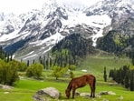 Tourist influx in Jammu and Kashmir benefits rural economy. Tourist influx in Jammu and Kashmir benefits rural economy.