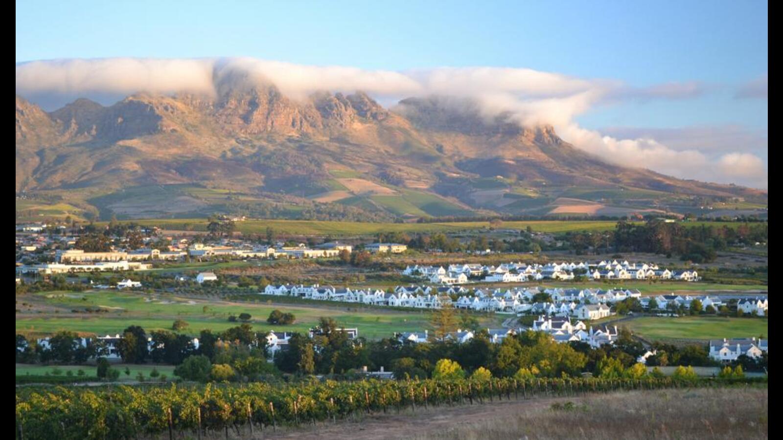 Essay: The Cape of Silent Hope - Vimarsana News