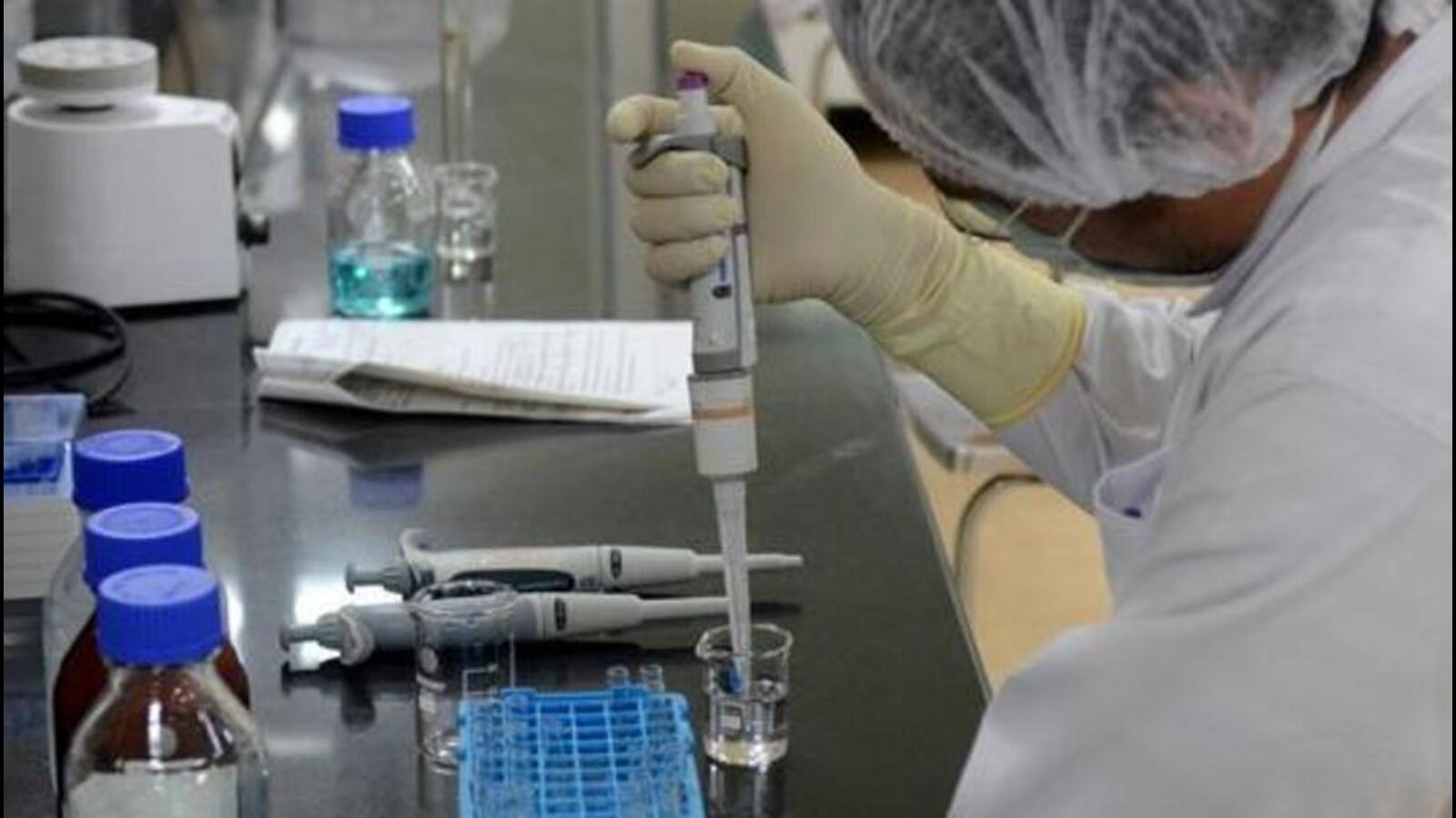 Pune's active Covid cases drop to 17, zero hospitalisations - Vimarsana News