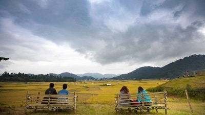 Ziro Festival was initiated in 2012 by Bobby Hano and Menwhopause guitarist Anup Kutty and is hosted by the members of the Apatani tribe in Ziro. (Instagram/@zirofestival) Ziro Festival was initiated in 2012 by Bobby Hano and Menwhopause guitarist Anup Kutty and is hosted by the members of the Apatani tribe in Ziro. (Instagram/@zirofestival)