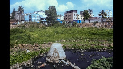 382 culverts have been cleaned entirely, achieving a 100 per cent cleaning rate. (HT PHOTO) 382 culverts have been cleaned entirely, achieving a 100 per cent cleaning rate. (HT PHOTO)