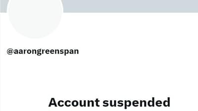 A screenshot of Greenspan's suspended Twitter account (twitter.com/aarongreenspan) A screenshot of Greenspan's suspended Twitter account (twitter.com/aarongreenspan)