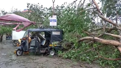 Trees uprooted after heavy rainfall and strong winds due to the impact of cyclone Biparjoy in Dwarka on Thursday. (ANI Photo) (ANI ) Trees uprooted after heavy rainfall and strong winds due to the impact of cyclone Biparjoy in Dwarka on Thursday. (ANI Photo) (ANI )