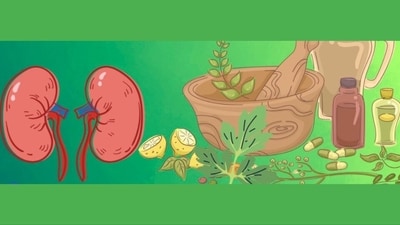 Ayurveda for kidney: 7 reasons for kidney disease in women, Ayurvedic tips that can help in managing them (Photo by Twitter/bkkidneycare) Ayurveda for kidney: 7 reasons for kidney disease in women, Ayurvedic tips that can help in managing them (Photo by Twitter/bkkidneycare)