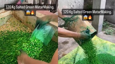 Snapshot from the video of green matar making. (Instagram/@SALONI BOTHRA) Snapshot from the video of green matar making. (Instagram/@SALONI BOTHRA)