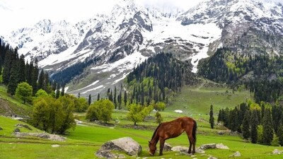 Tourist influx in Jammu and Kashmir benefits rural economy. Tourist influx in Jammu and Kashmir benefits rural economy.