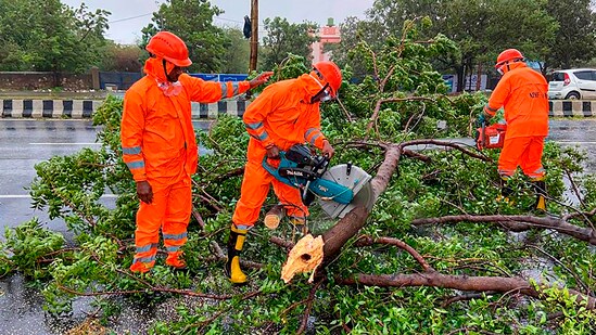 NDRF personnel clear trees uprooted following the landfall of cyclone Biparjoy in Gujarat's Gandhidham. The intensity of the storm has reduced from 'very severe' to 'severe' category hours after making landfall.&nbsp;(PTI)
