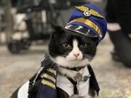 Duke Ellington Morris is the newest hire at the US airport. Duke Ellington Morris is the newest hire at the US airport.