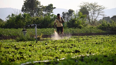 While cash assistance helps, experts have pointed out this assistance does not address the agrarian crisis. (HT PHOTO) While cash assistance helps, experts have pointed out this assistance does not address the agrarian crisis. (HT PHOTO)
