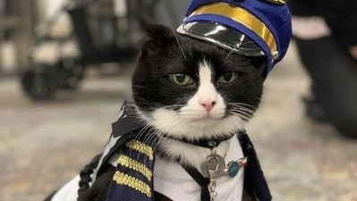 Duke Ellington Morris is the newest hire at the US airport. (Twitter/ @flySFO) Duke Ellington Morris is the newest hire at the US airport. (Twitter/ @flySFO)