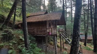 Homestays, cabins have gained popularity with tourists visiting Himachal in recent years. (Deepak Sansta/HT) Homestays, cabins have gained popularity with tourists visiting Himachal in recent years. (Deepak Sansta/HT)