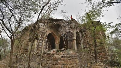 The forest around Malcha Mahal, a 14th-century monument at the central ridge, will have a five-layered plantation of trees like jacaranda, gulmohar, bougainvillea, amaltas, and chinar. (HT ARCHIVE) The forest around Malcha Mahal, a 14th-century monument at the central ridge, will have a five-layered plantation of trees like jacaranda, gulmohar, bougainvillea, amaltas, and chinar. (HT ARCHIVE)
